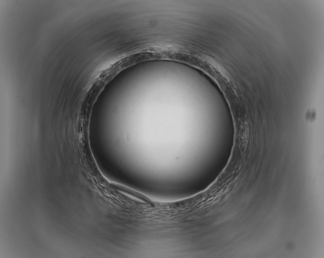 X0000095521016200712141441