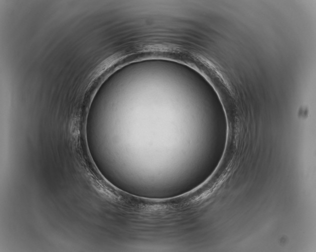 X0000095521017200712141441