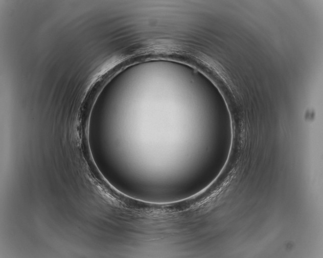 X0000095521018200712141441