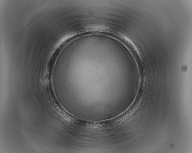 X0000095521019200712141441