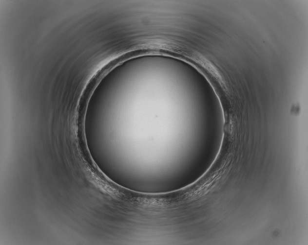 X0000095521020200712141441