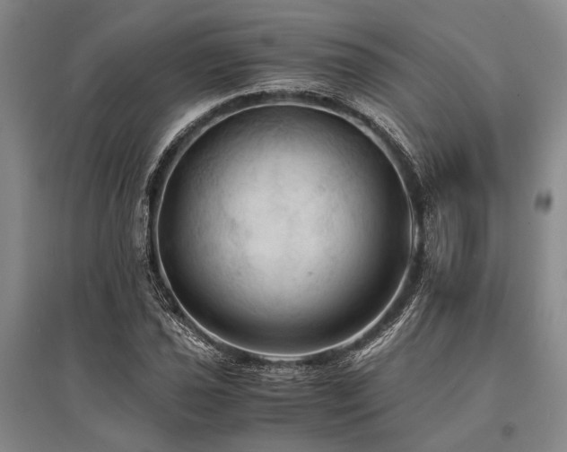 X0000095521021200712141441