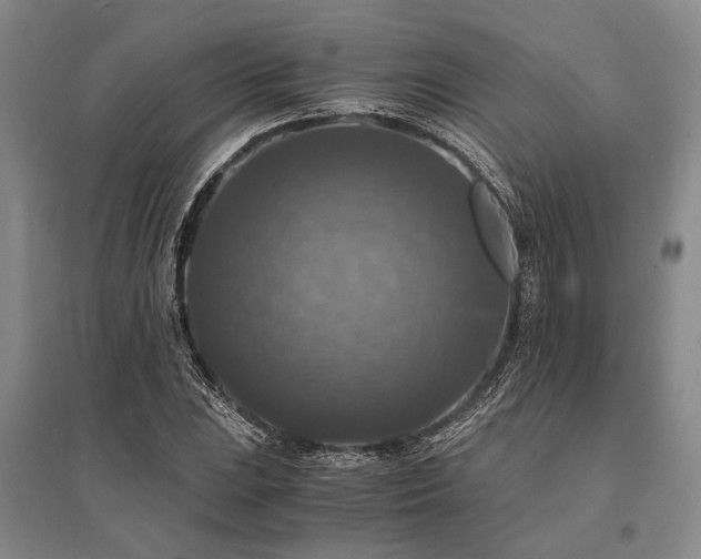 X0000095521023200712141441