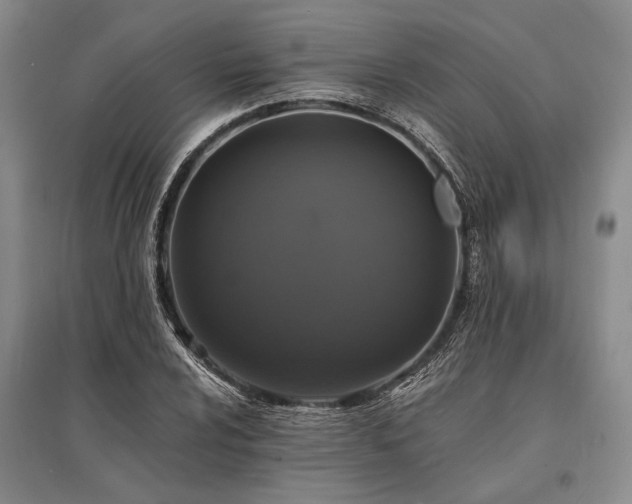 X0000095521024200712141441