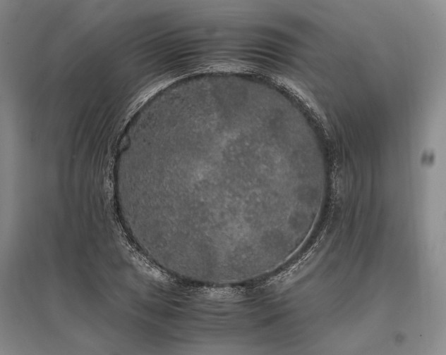 X0000095521025200712141441