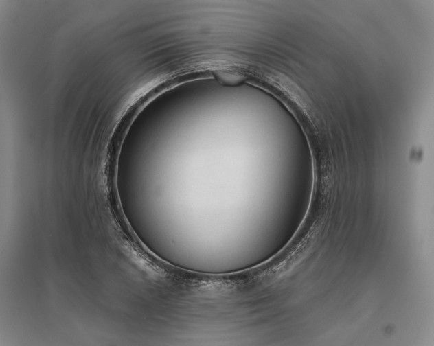 X0000095521026200712141441
