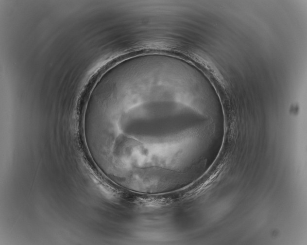X0000095521027200712141441