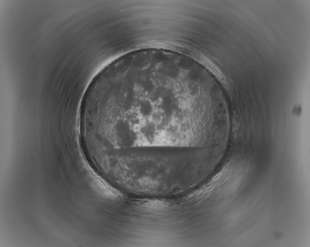 X0000095521028200712141441