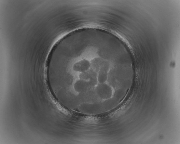 X0000095521029200712141441