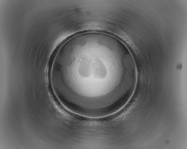 X0000095521030200712141441