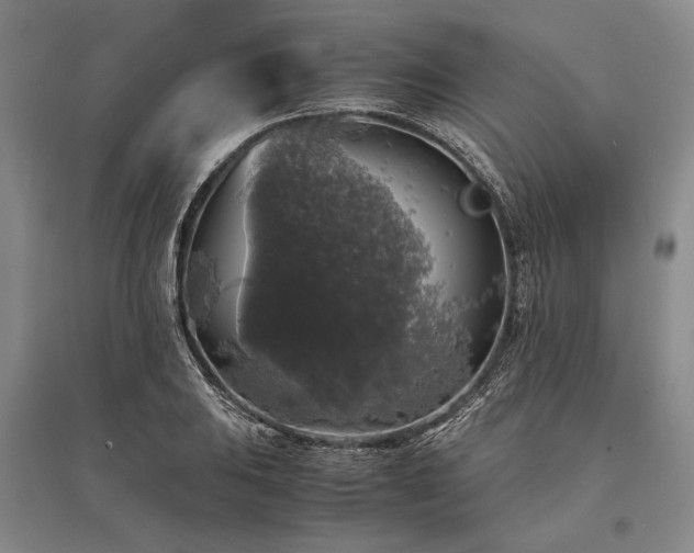 X0000095521031200712141441