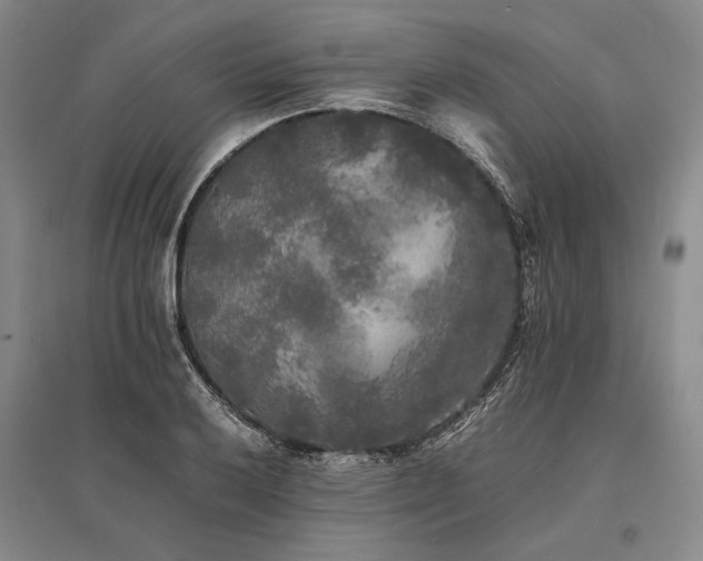 X0000095521032200712141441