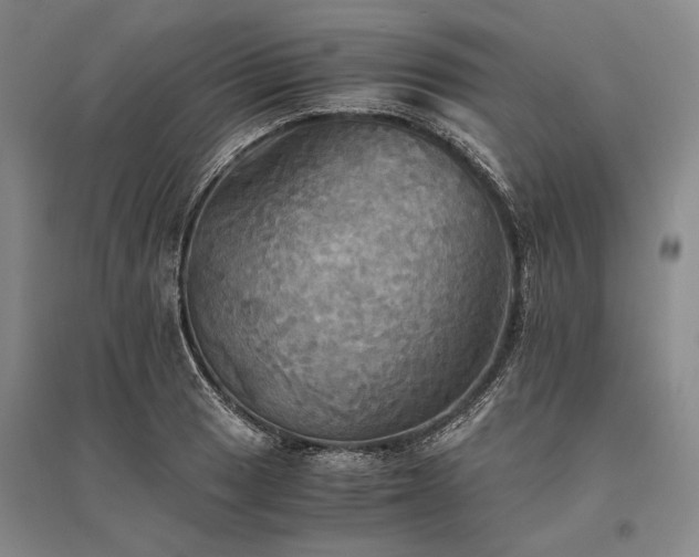X0000095521033200712141441