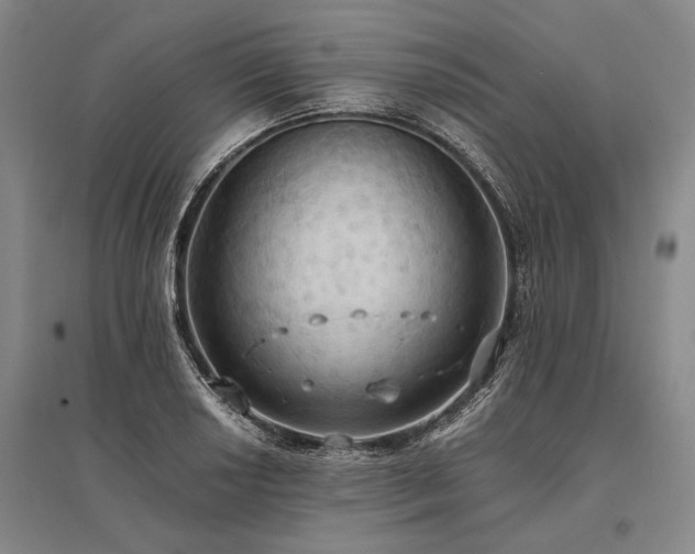 X0000095521034200712141441