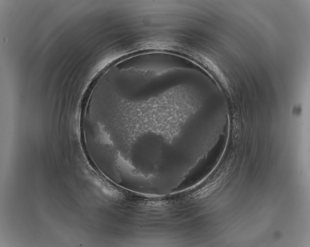 X0000095521035200712141441