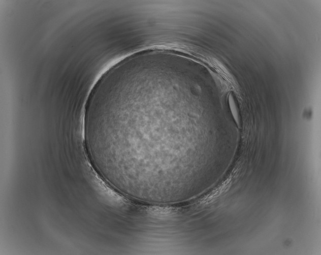 X0000095521036200712141441