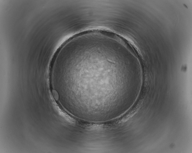 X0000095521038200712141441
