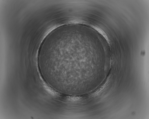 X0000095521039200712141441