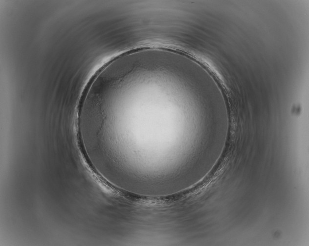 X0000095521040200712141441