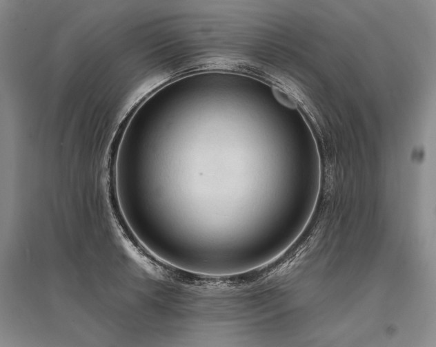 X0000095521042200712141441