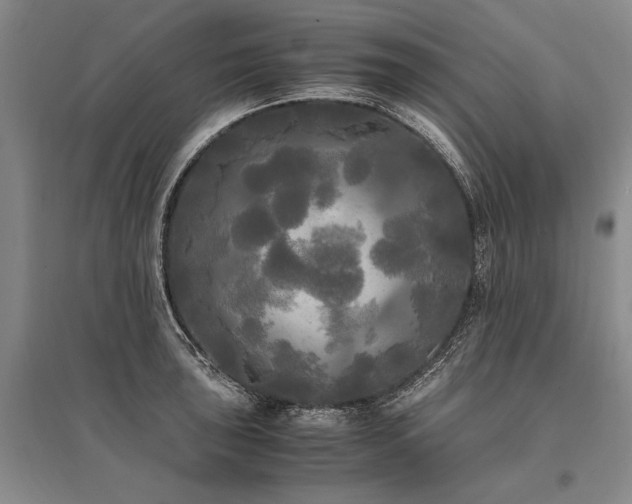 X0000095521043200712141442