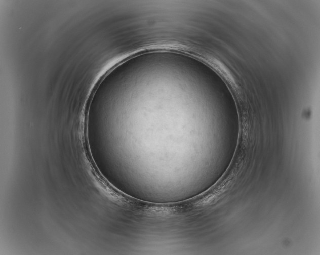 X0000095521044200712141442