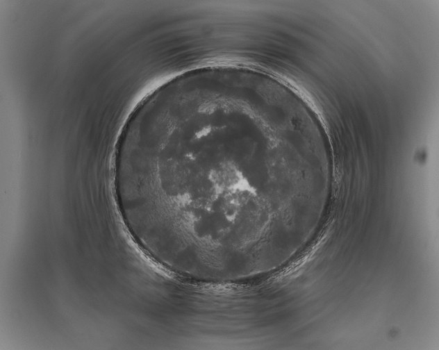 X0000095521045200712141442