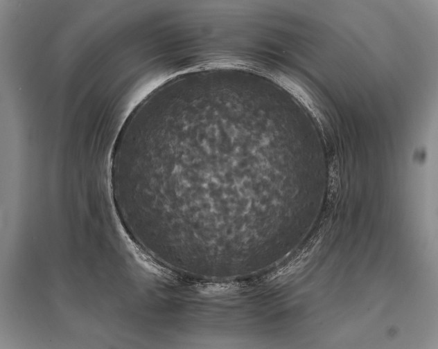 X0000095521047200712141442