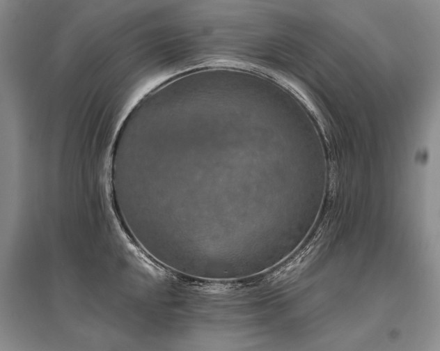 X0000095521048200712141442