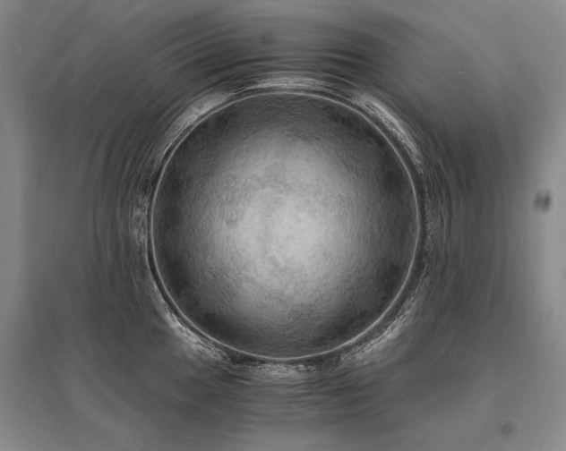 X0000095521049200712141442