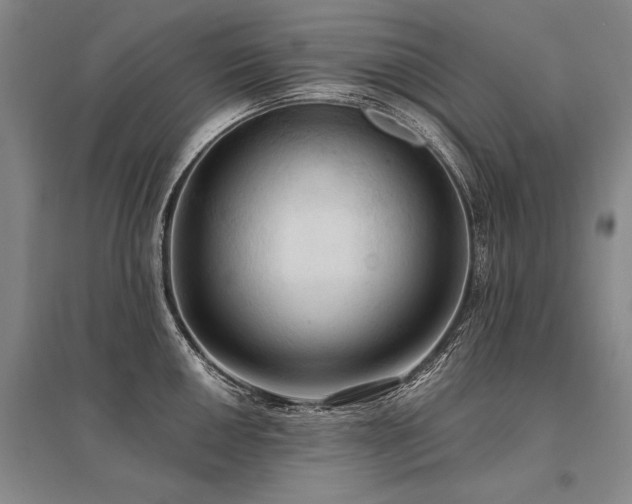 X0000095521050200712141442