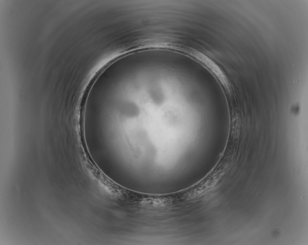 X0000095521051200712141442