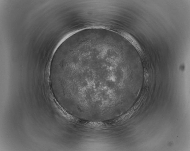 X0000095521052200712141442