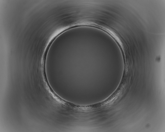 X0000095521053200712141442