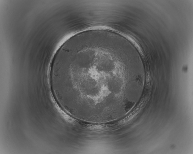 X0000095521054200712141442