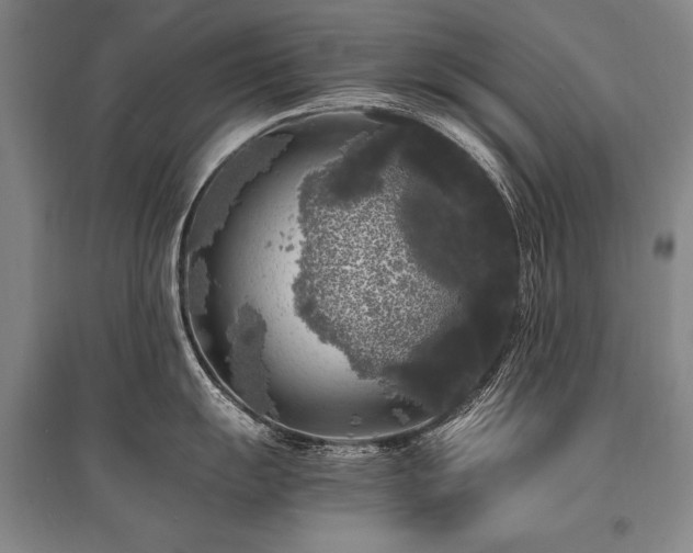 X0000095521055200712141442