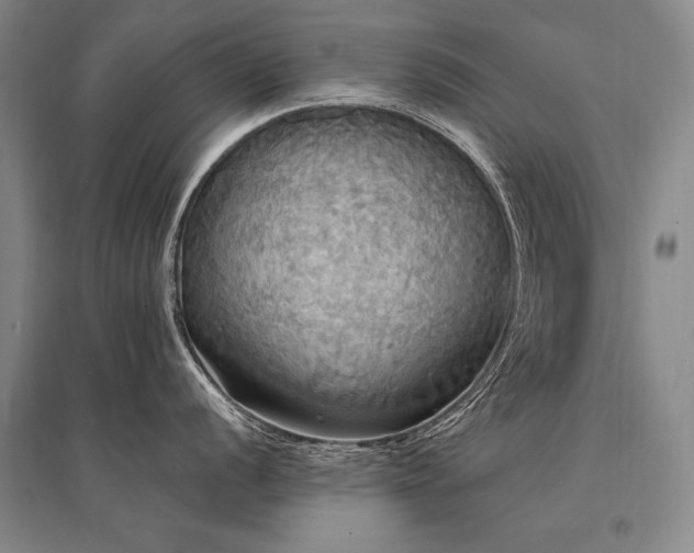 X0000095521056200712141442