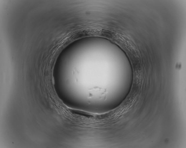 X0000095521057200712141441