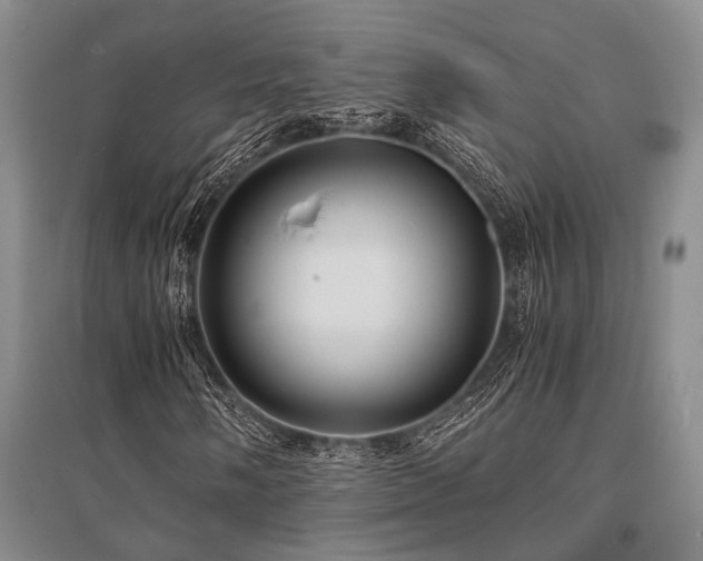 X0000095521058200712141441