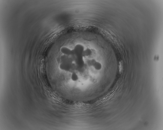 X0000095521059200712141441