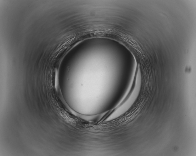 X0000095521060200712141441