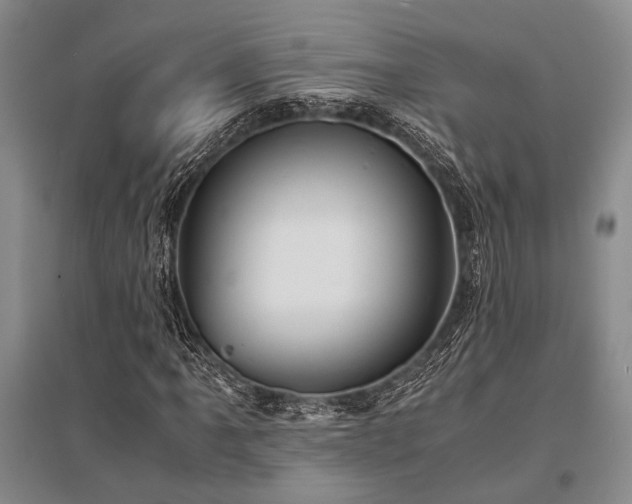 X0000095521061200712141441