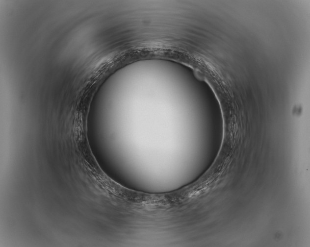 X0000095521062200712141441