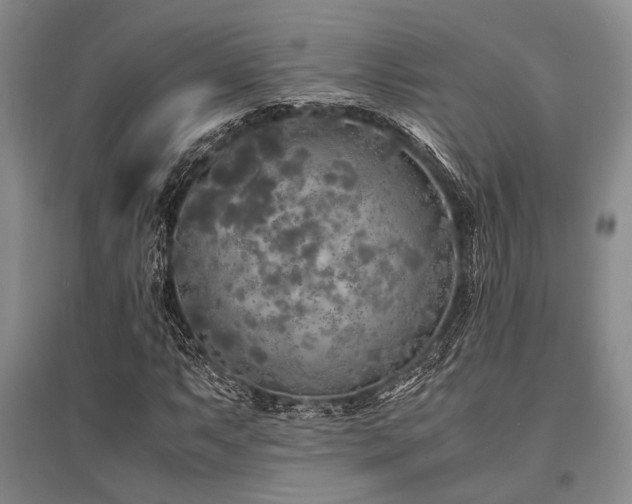 X0000095521063200712141441