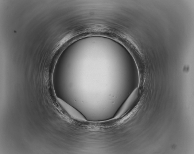X0000095521065200712141441