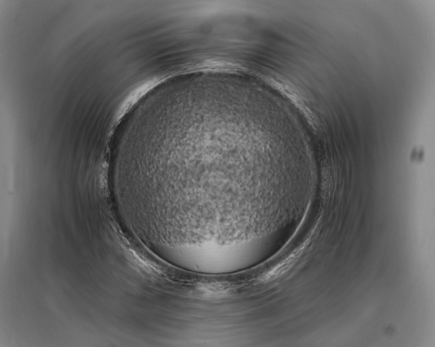 X0000095521066200712141441
