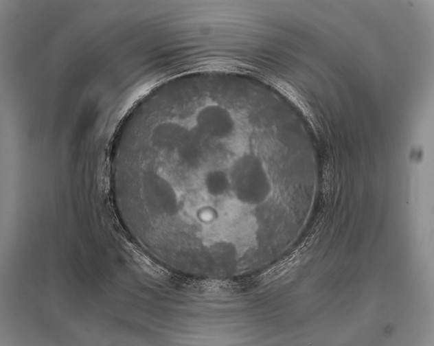 X0000095521067200712141441