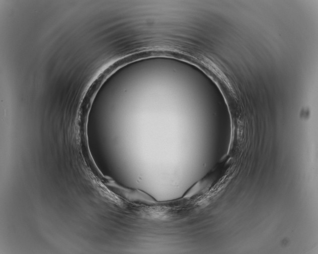 X0000095521068200712141441