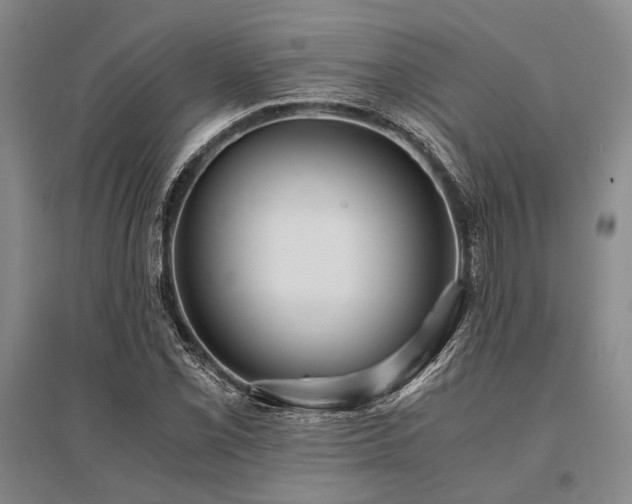 X0000095521069200712141441