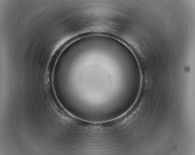X0000095521070200712141441